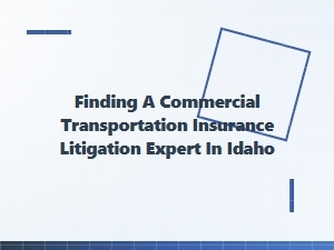 Finding Idaho Commercial Transport Litigation Experts